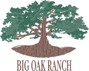Big Oak