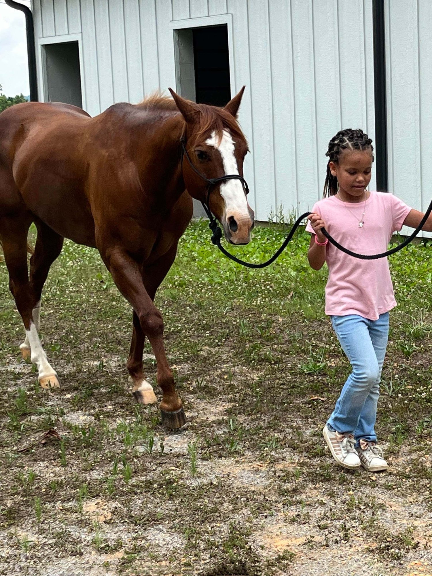 Tiana learning to lead her horse