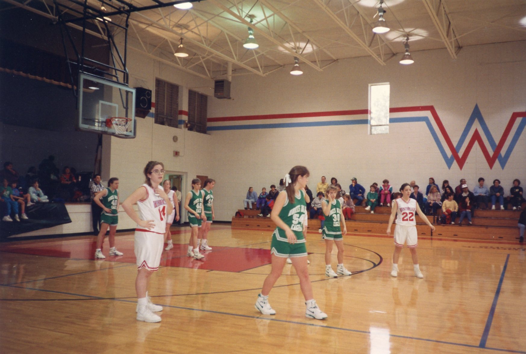 Michelle Fogle, #14, WCS, Hokes Bluff, Basketball, 1993